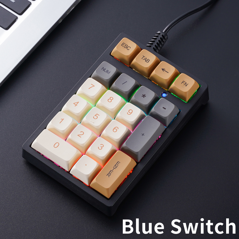 APAYADO Keyboard nomor T21 Keyboard nomor mekanis berkabel 21Key, lampu multiwarna untuk Treasury/akuntan/keuangan