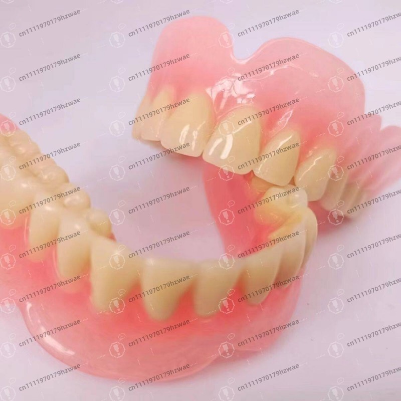 Full Mouth Removable Denture Display Model Elderly Oral Care Teaching Teeth Demonstration Model