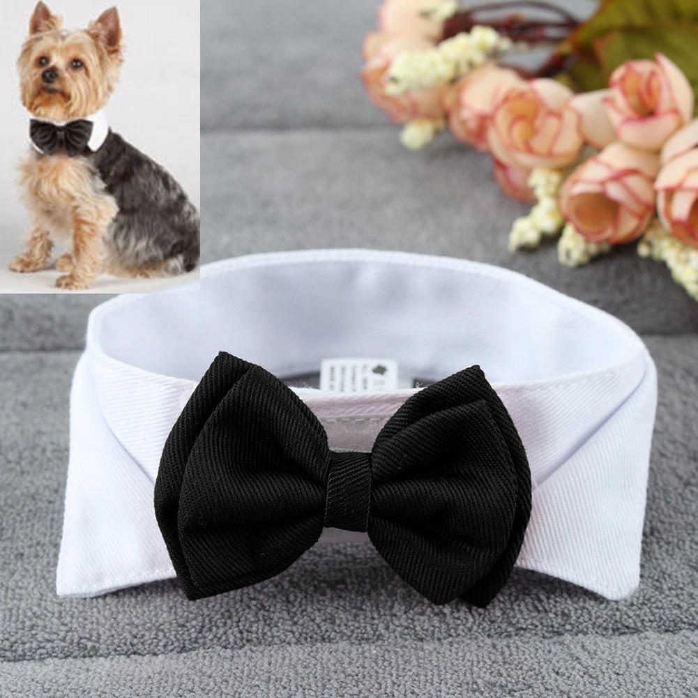 1pc animais de estimação filhote de cachorro cães gatos gravata borboleta ajustável colar gravata borboleta feriado decoração de casamento acessórios de aliciamento