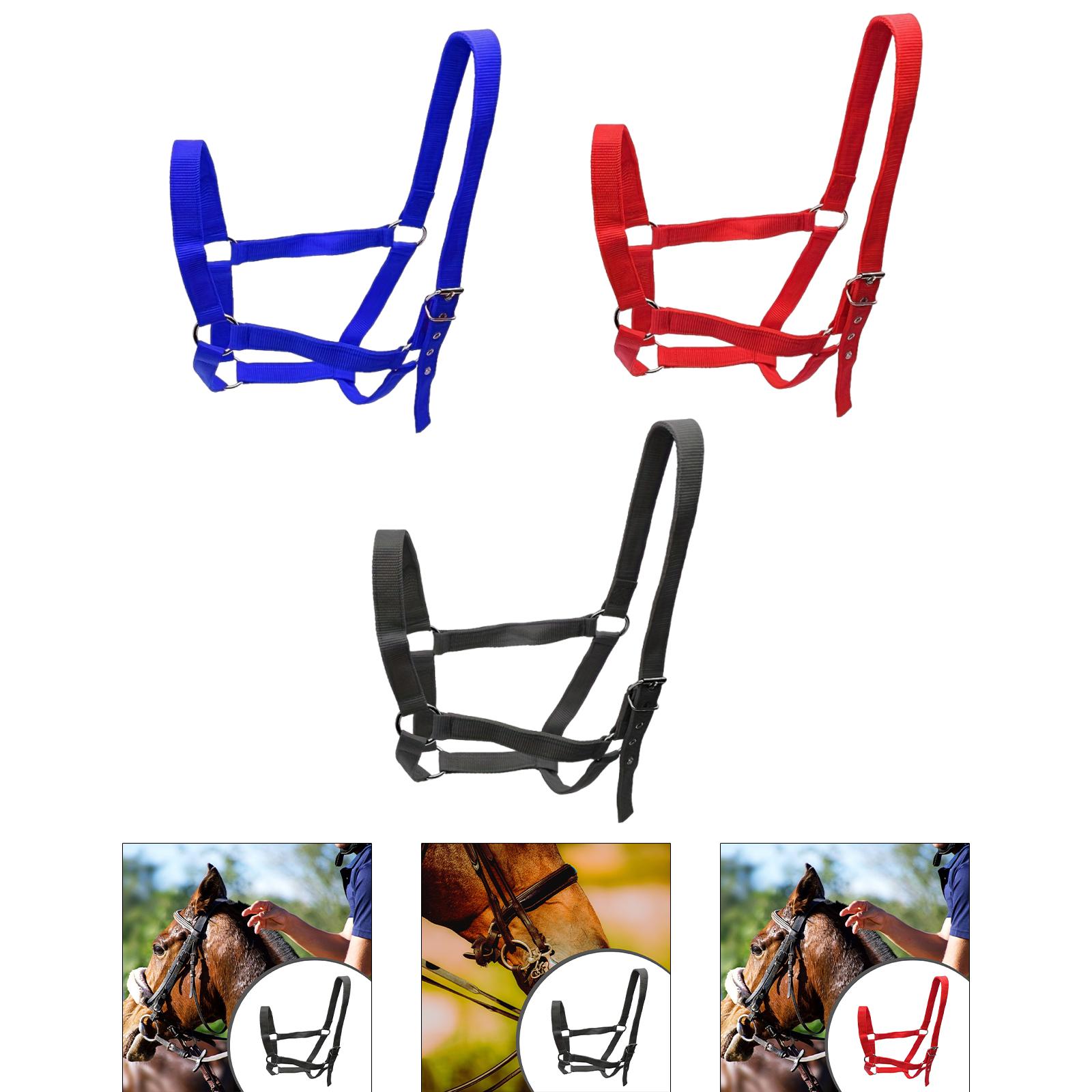 Halter para caballos, cabestro a presión para barbilla y garganta, fácil de usar, cabestro de entrenamiento de cuerda para caballos resistente al desgaste para concurso
