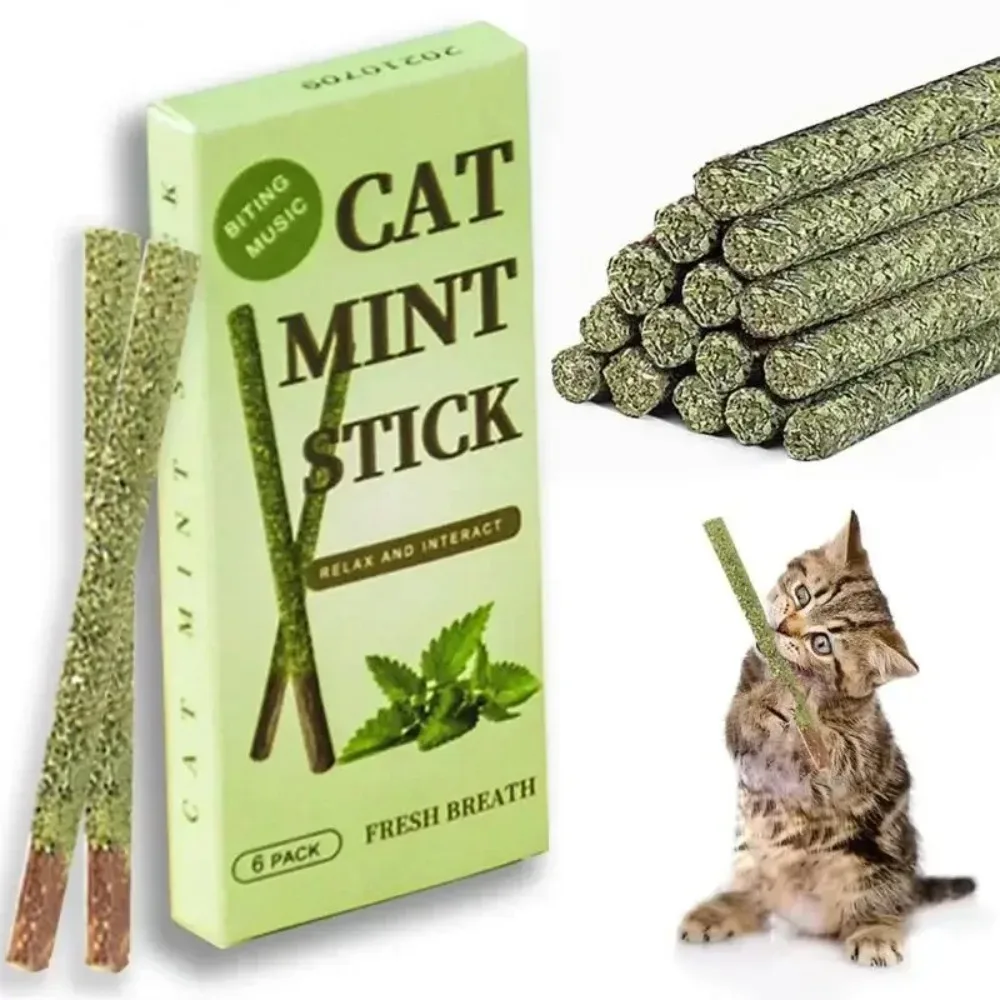 Palo de gato Matatabi Natural, varillas excitadoras de mordida de menta, vid plateada para limpieza de dientes de gato, suministro para mascotas, juguetes para gatos, 6 uds.