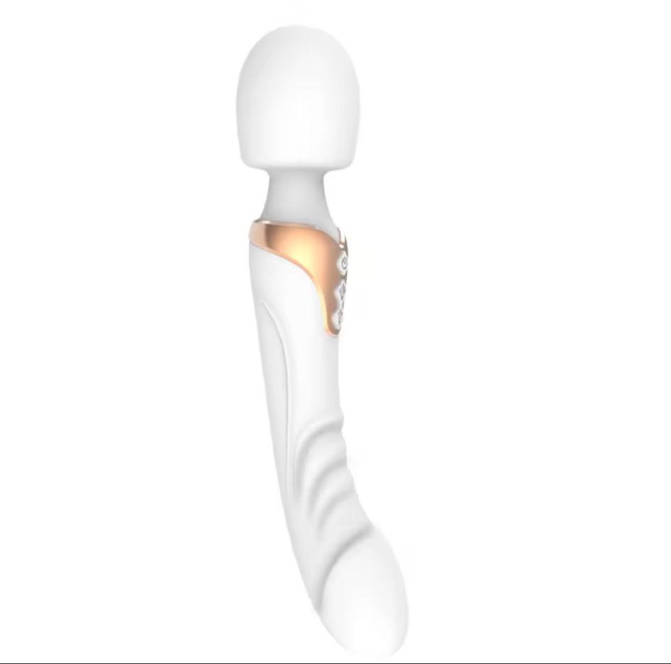 Vibromasseur clitoridien à 10 modes, masseur de point G avec double moteur, jouets sexuels pour femmes