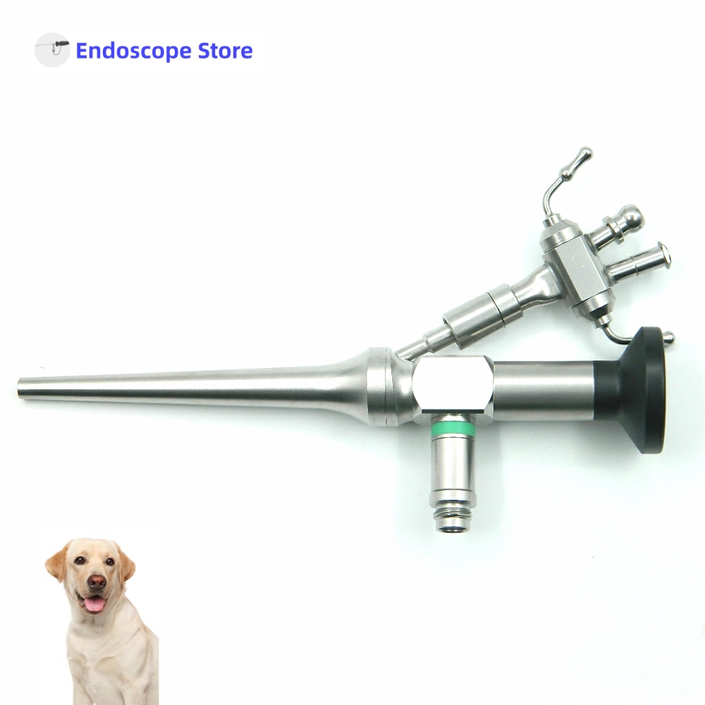 Medische Veterinaire Veterinaire Dieren Honden Katten Oor Stijve Endoscoop Optiek Otoscoop Otoscopie Onderzoek Chirurgie Klein Dierenziekenhuis