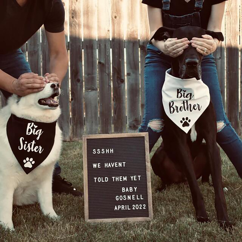 Große Schwester Brother Hund Bandana Schwangerschaft Ankündigung Baby Dusche Geschlecht Offenbaren papa mama zu werden dekoration Geschenk foto requisiten