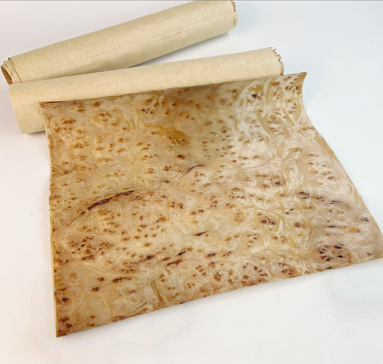 1PCS 300x250x0.3mm Natuurlijke Gouden Kamfer Burl Houtfineer Meubels Home Audio Muziekinstrumenten Auto decoratie
