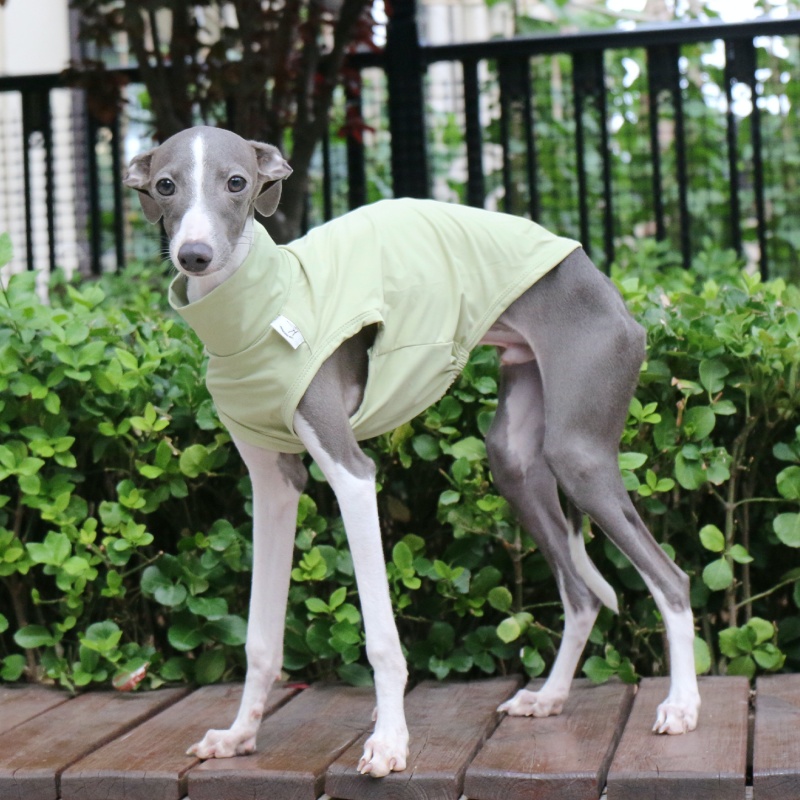Pet Poodle Purple Sun Vest Summer Cool T-shirt dla włoskiego greyhounda Miękki kombinezon w jednolitym kolorze Zielony Jasnoszary Kombinezon dla Wellington