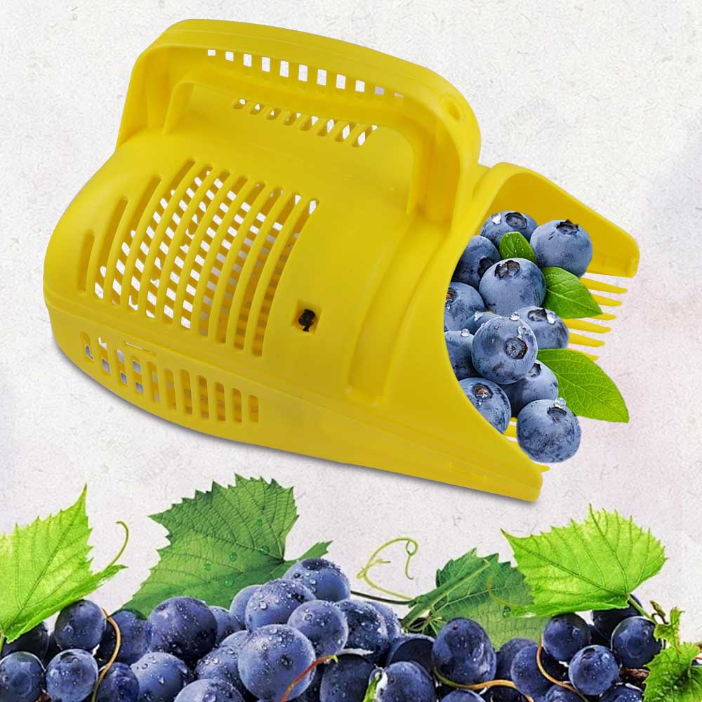 Draagbare Berry Blueberry Picker Plastic Kam Harken Handheld Picking Collection Fruit Verzamelschep voor Boerderij Boomgaard Harvester