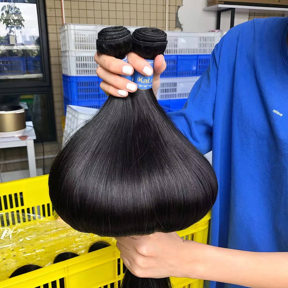 Extensions de cheveux humains vietnamiens lisses et raides, double trame, non traités, bruts, 1, 3 ou 4 paquets de tissage de cheveux humains