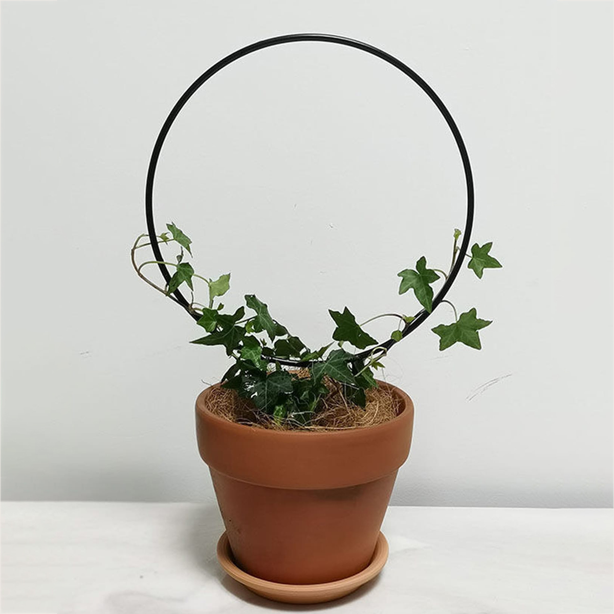 Treliça de jardim planta de ferro suporte de planta de escalada com revestimento preto à prova de ferrugem para flor interna treliça de videira para decoração