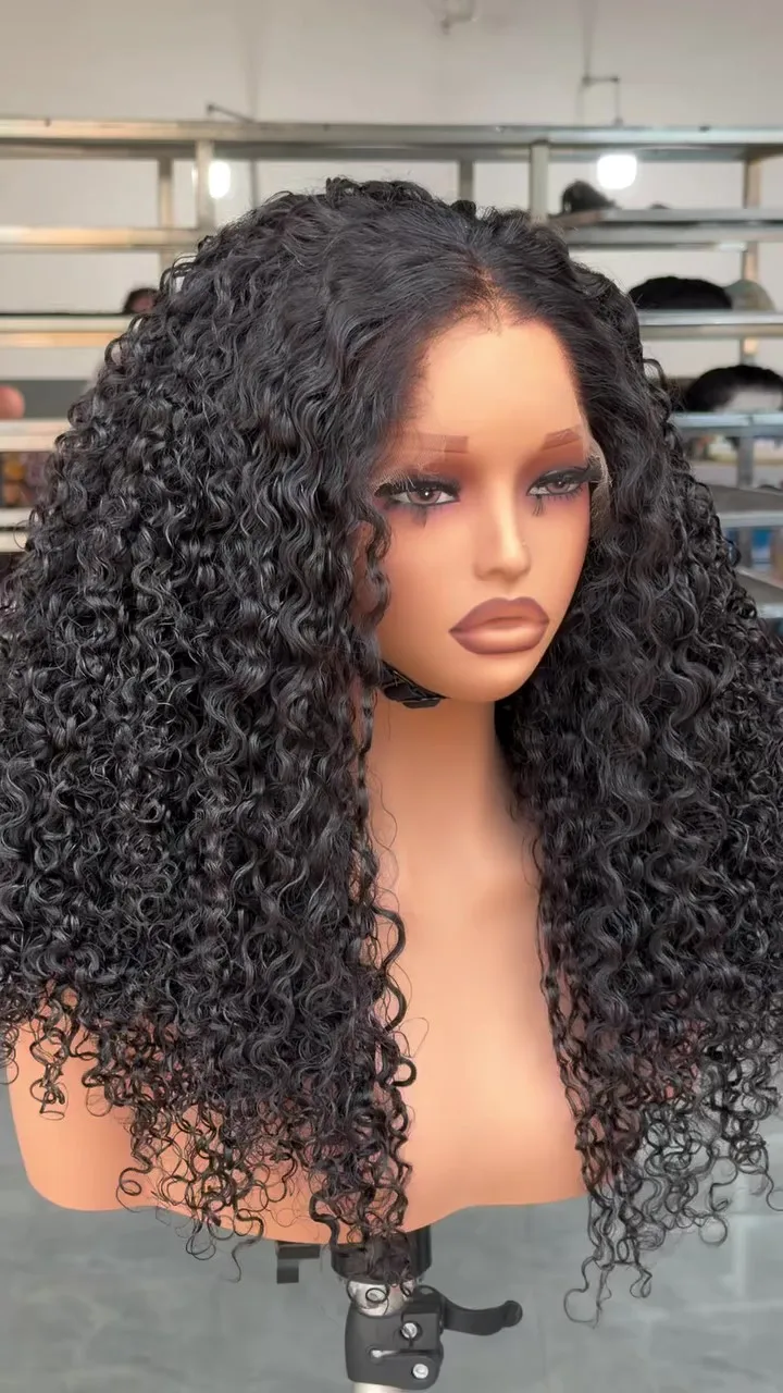 250 Density Curly Wigs Human Hair  13x6 HD Lace Frontal Wig 5x5 Wear Go Glueless  Lace Front Human Hair Wigs 13x4 Pre Plucked Human Hair Wigs For Black Women on Sale