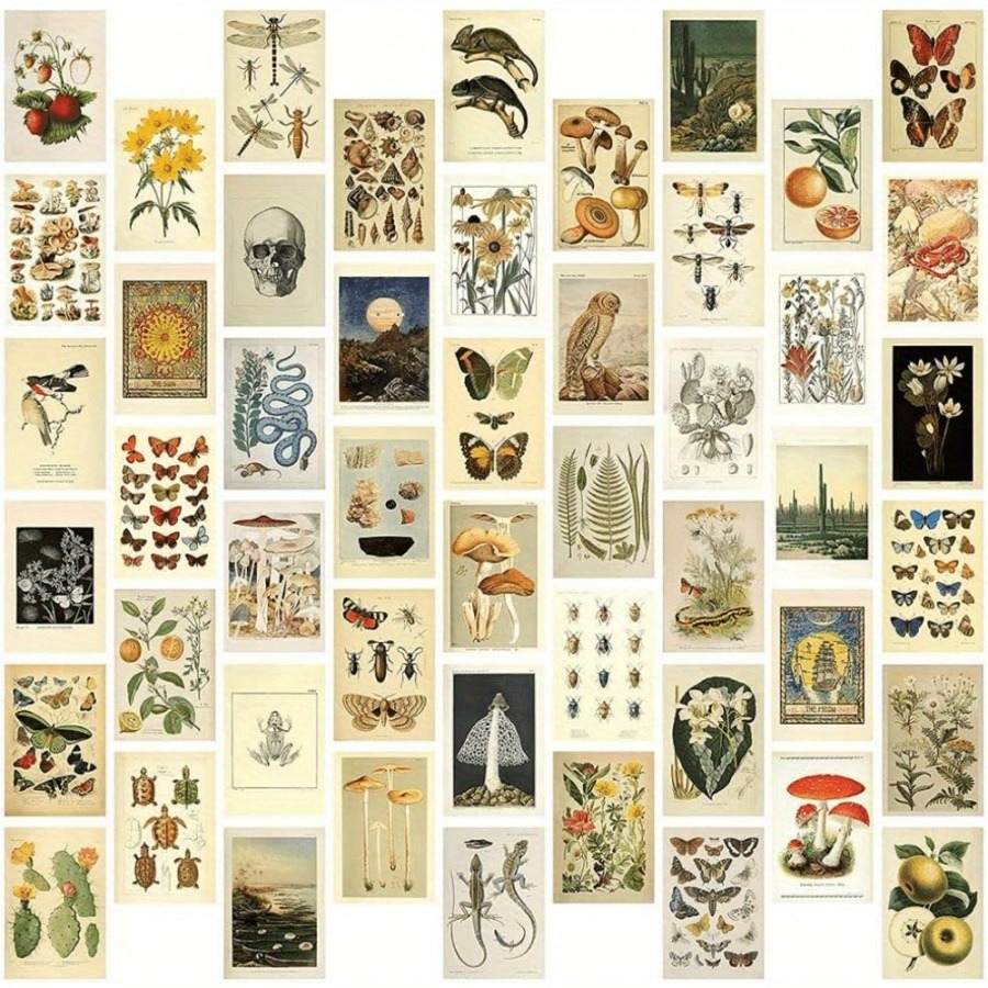50-teiliges Set aus Vintage-Sammelkarten, natürliche Karte im Vintage-Stil mit Pflanzen und Schmetterlingen und Pilzen, verwendet für die Raumdekoration