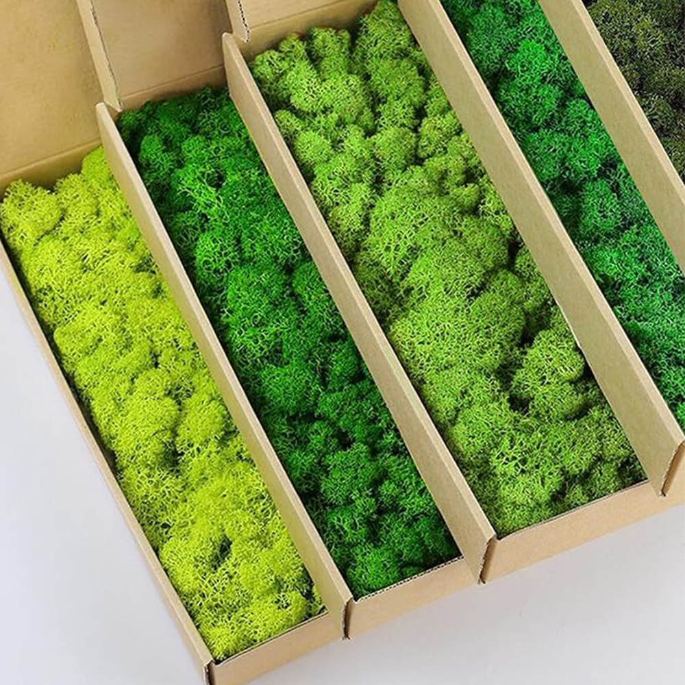 Plantas verdes artificiales, hierba falsa, vida eterna, hierba de musgo para el hogar, sala de estar, decoración de jardín, Mini paisaje, manualidades DIY, 200g