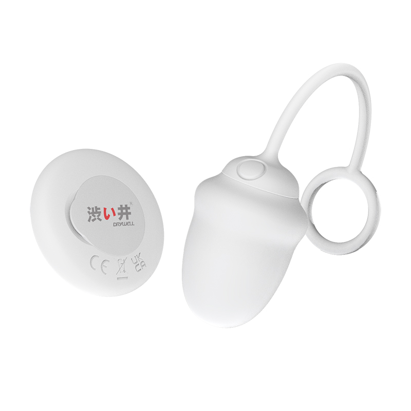 DRY WELL Vibratoren für Frauen, kabellose Fernbedienung, Vaginakugeln, tragen vibrierendes Höschen, leises, sexy Spielzeug für schnellen Orgasmus
