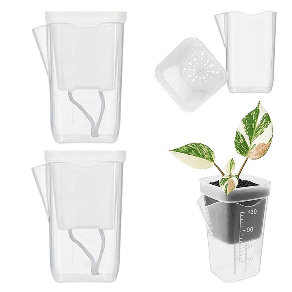 Macetas con Autorriego, Mini Macetas para Plántulas, Macetas de Plástico Translúcido, Macetas para Propagación de Plantas con Reservorio ﻿
