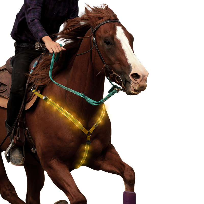 100CM LED Pferde Brust Riemen Reiten Dekoration Leucht Rohre Pferde Reiten Reit Sattel Halfter Pferd Pflege Produkte