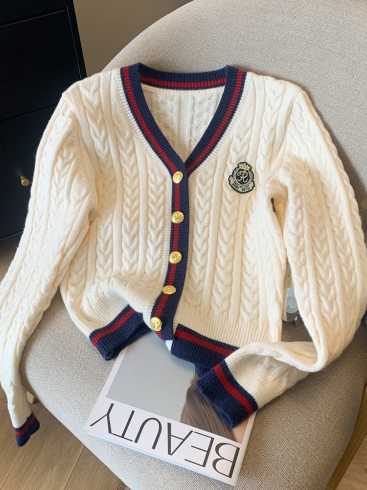 女性用Vネックカシミヤトップ,暖かいセーター,ニットセーター,アウター,ツイスト,ニットトップ,婦人服,秋冬,2024