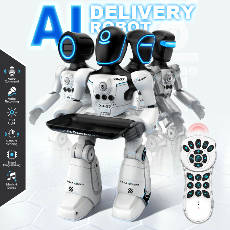 2.4G AI Slimme Bezorgrobot Gebaren- en Spraakbesturing Opnameprogrammering LED Dansende Robot Kerstcadeau voor Kinderen