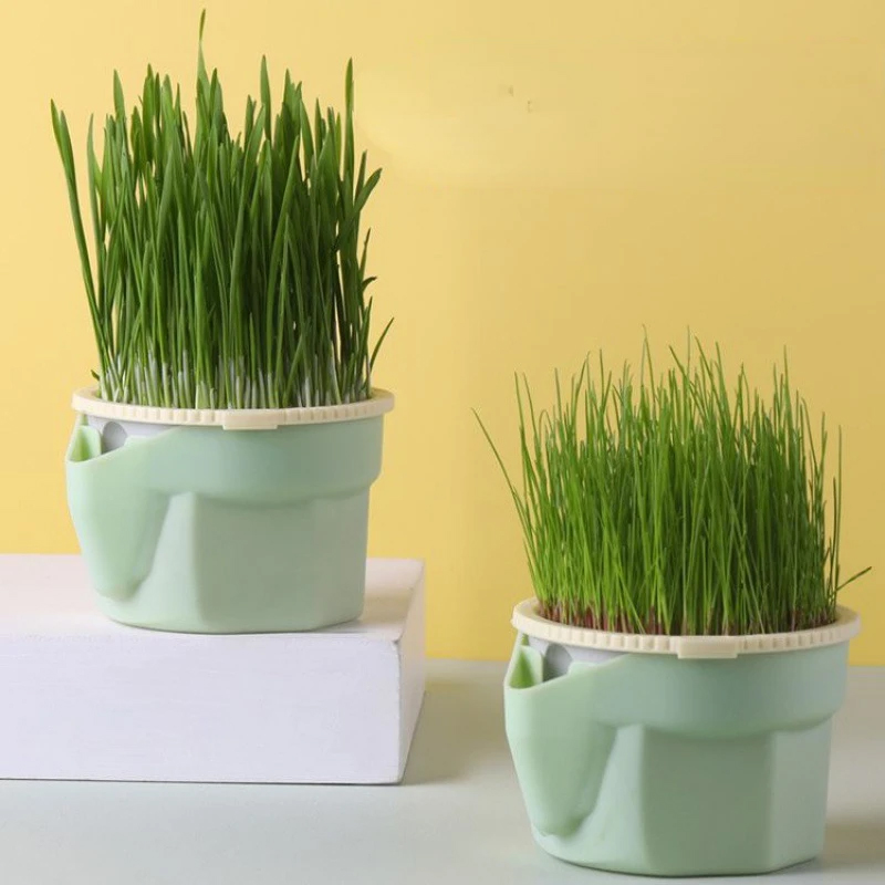 Nuevo plato de brotes para Gato, maceta para cultivo, planta hidropónica, hierba para gatos, germinación, digestión, plato de iniciación, cultivo de invernadero