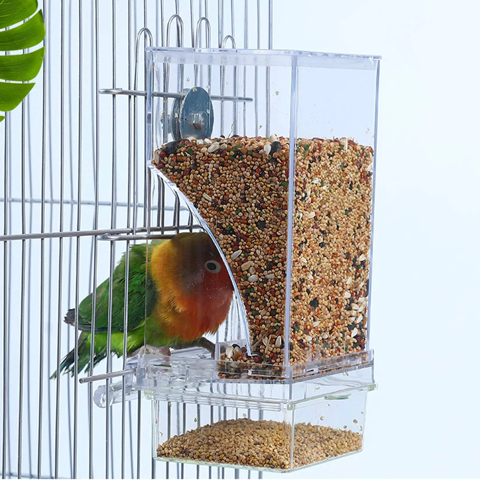 Alimentador de pássaros para papagaio, dispensador automático à prova de derramamento, alimentador externo à prova de respingos, alimentador de pássaros, tigre, peônia, phoenix, suprimentos para pássaros