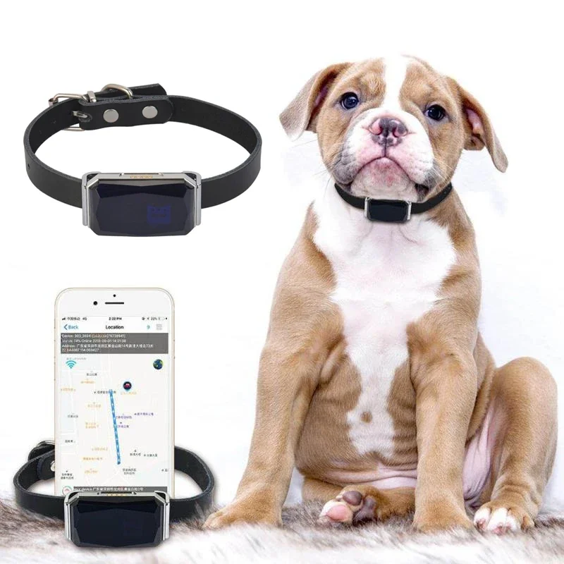 Collare per animali domestici impermeabile IP67 Localizzatore GPS leggero Wifi per animali domestici Localizzatore GPS per cani Localizzatore personale per bambini Dispositivo di localizzazione anti-smarrimento