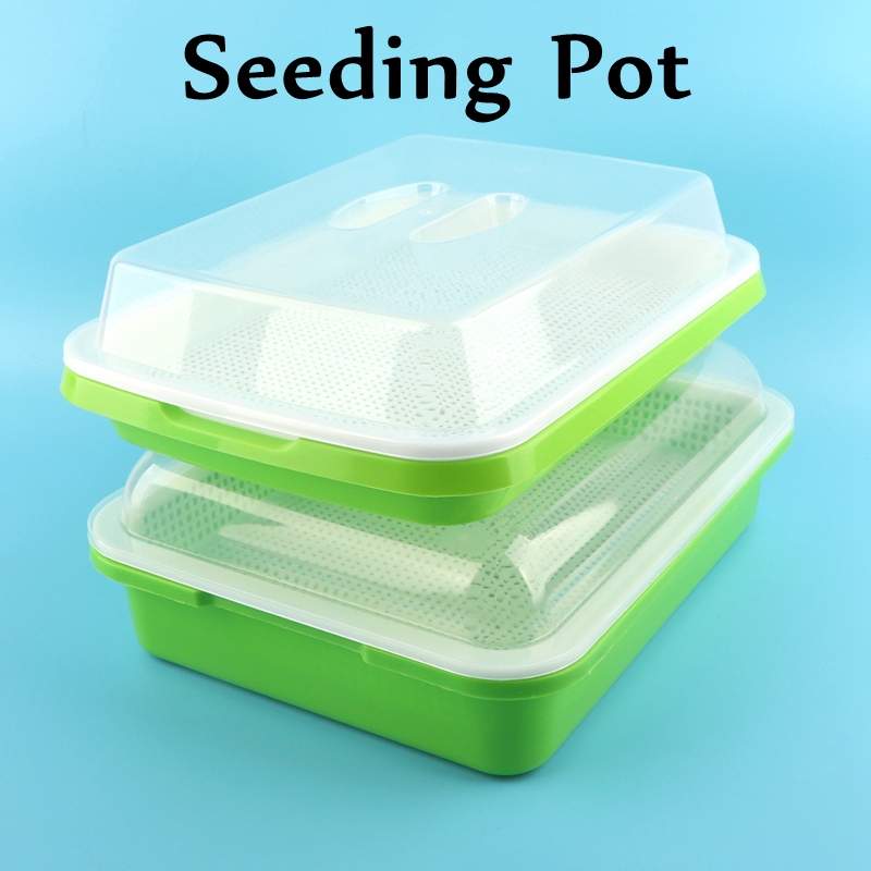 1 set Piatto di germogli Vaso per coltivazione Fagioli di verdure idroponiche Pentola per semina Piante domestiche Vassoio per germinazione Vivaio con kit di coperchio