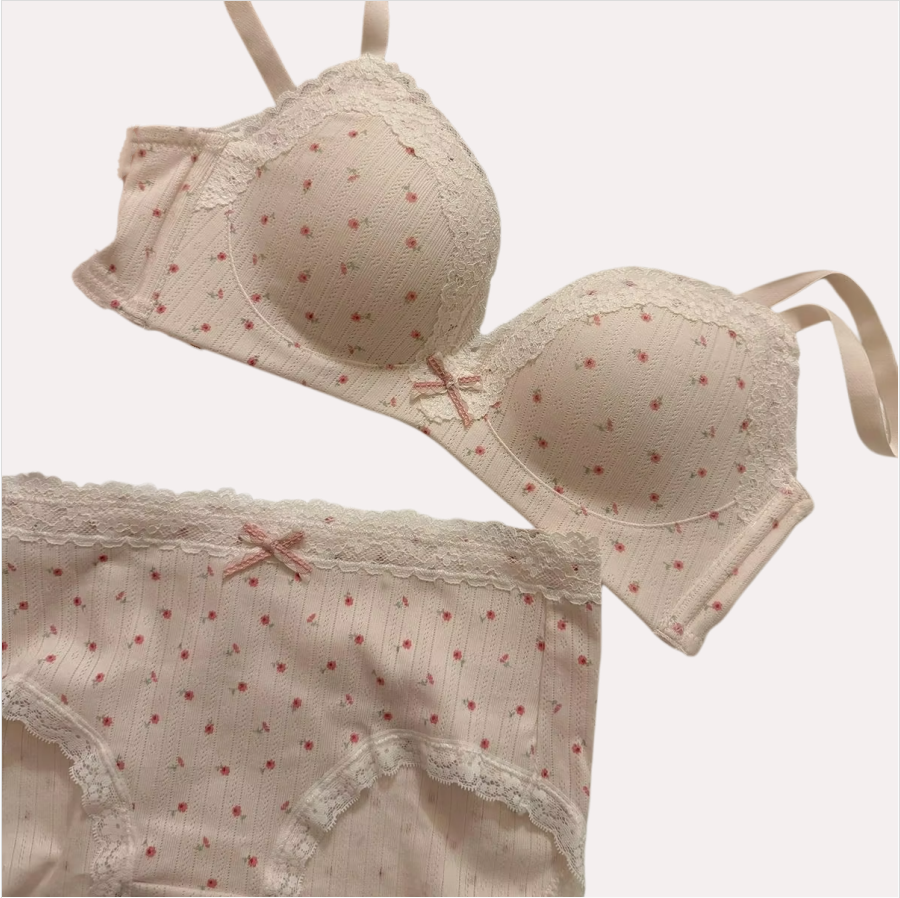 Conjunto de sutiã floral de renda sexy adolescente confortável anel não-aço beleza volta seios pequenos reunidos suporte anti-flacidez conjunto de sutiã