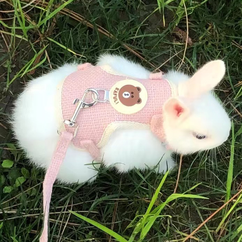 Set Pettorina e Guinzaglio per Gatti e Conigli con Stampa Cartoon, Accessori per Conigli, Gilet per Coniglietti, Abbigliamento per Animali
