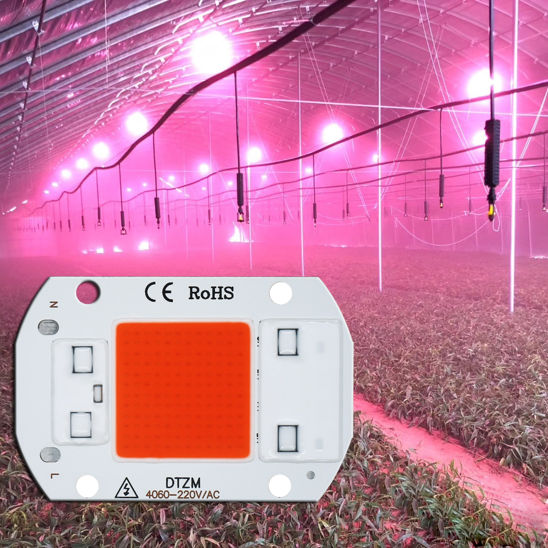 Puce lumineuse LED COB pour la croissance des plantes, pas besoin de pilote, éclairage pour la croissance des fleurs et des semis, AC 220V, 5W, 10W, 20W, 30W, 50W