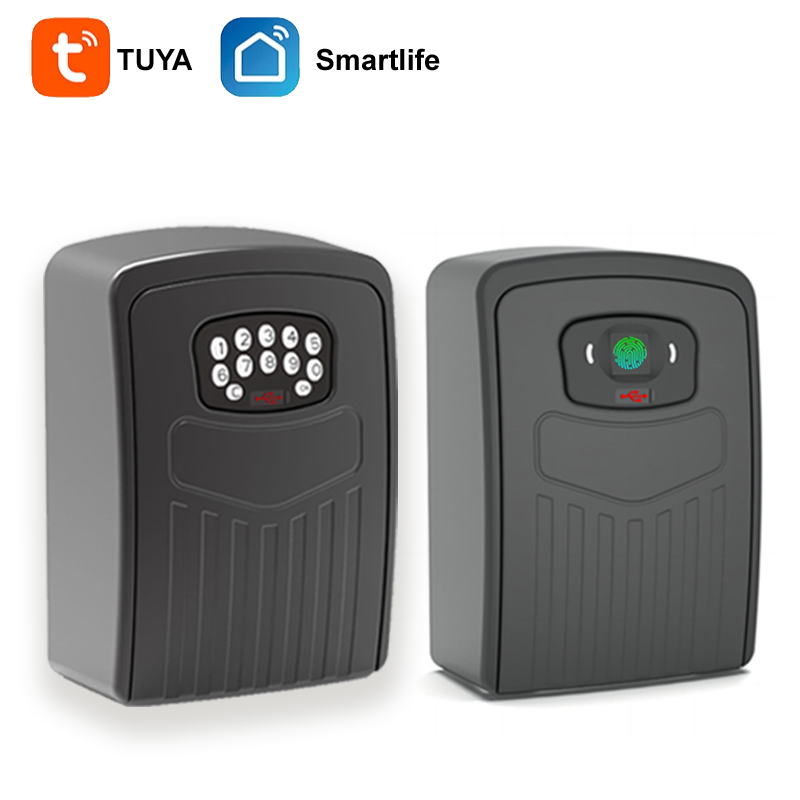 TUYA Fingerabdruck- oder Passwort-Safe, Schlüsselkasten, Bluetooth-Aufbewahrung, Schließfach, Smart Life App, Wandmontage, Sicherheit, Diebstahlsicherung