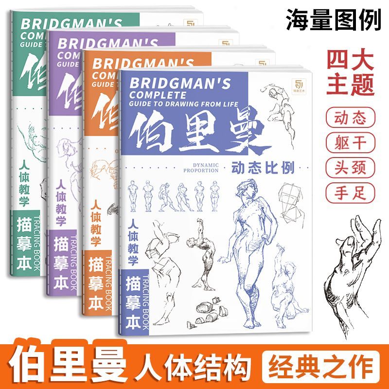 Berryman's Teaching Copy of The Human Body Tracing Book Set of 4 Books Dynamic Scale Head and Neck Structure Human Body Sketch