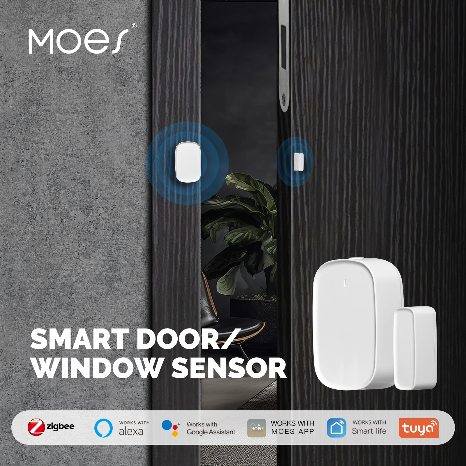Capteur de porte intelligent MOES Zigequation/WiFi, sécurisez votre maison avec le contrôle de l'application Tuya, la détection des fenêtres et des portes et la compatibilité Smart Life