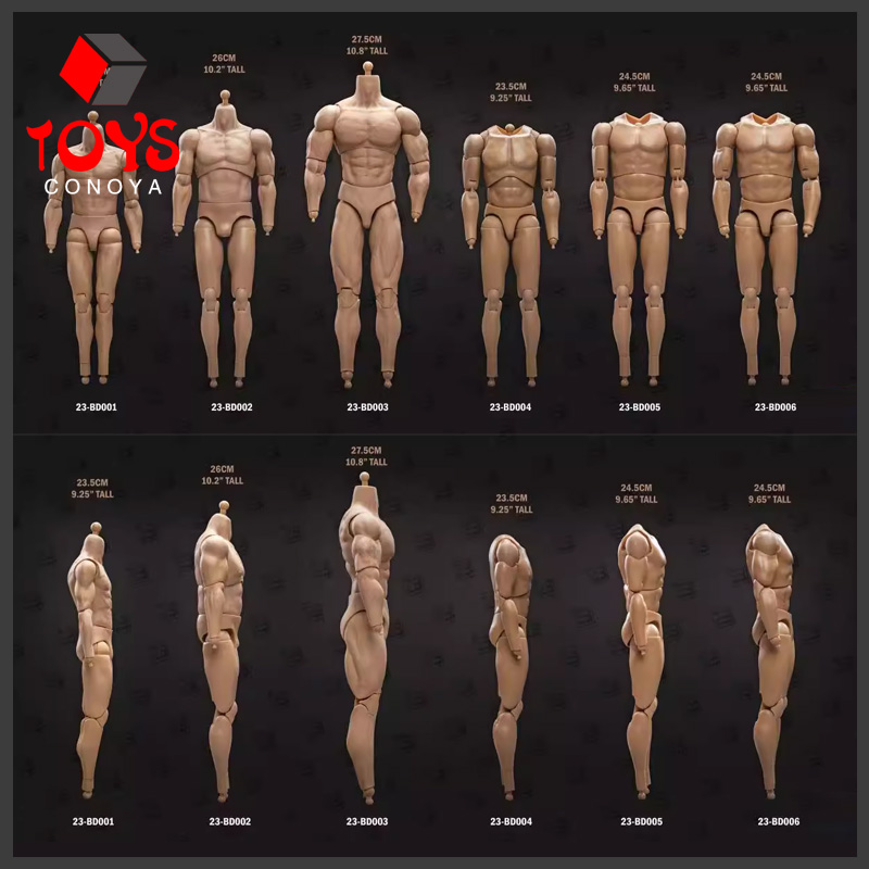 在庫あり 23TOYS 23-BD001 1/6 男性兵士標準筋肉ジョイントボディ 23.5 センチメートル - 27.5 センチメートル男性兵士アクションフィギュア関節ボディ