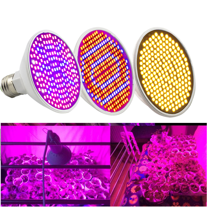 LED plante poussent la lumière spectre complet fleur croissance lumière du soleil phyto lampe ampoule pour intérieur phyto lampe hydro growbox tente éclairage