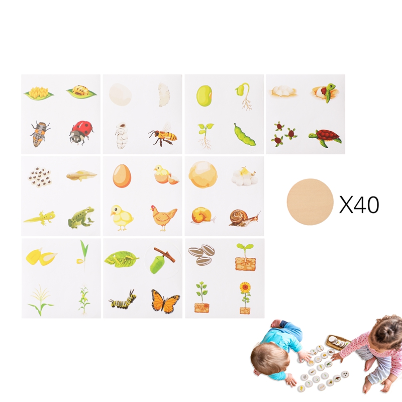 Drewniane puzzle dla dzieci Montessori Zabawka edukacyjna dla dzieci Gra dla dziecka Puzzle Karta Aktywność Wczesna edukacja Zabawka sensoryczna Prezent dla dziecka