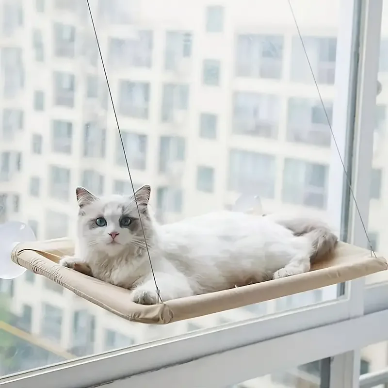 超ソフトな猫の窓ハンモックベッド、お友達にぴったりの雲のようなとまり木、お昼寝、しっかりと取り付けられた、完璧な省スペース