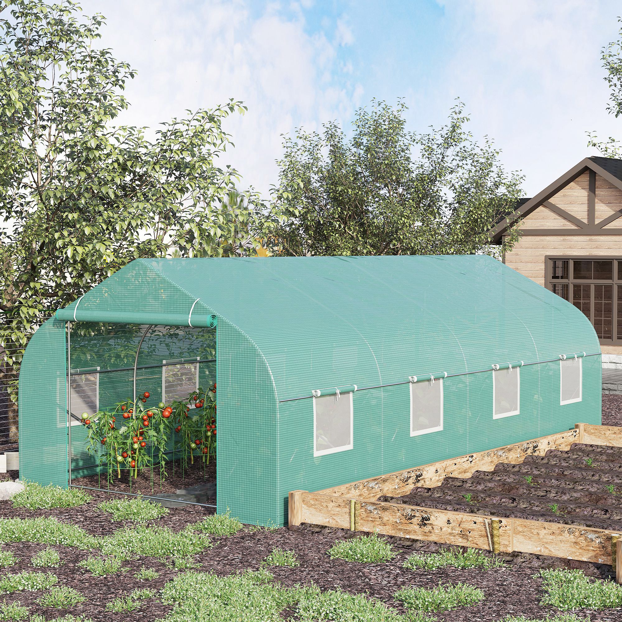 Rumah kaca besar, 20 'X 10' X 7 'rumah kaca besar berjalan di rumah hijau tanaman berkebun hijau