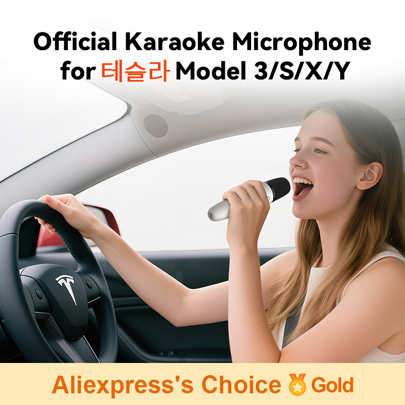T1-테슬라 Автомобильный микрофон для караоке, 테슬라 Перезаряжаемый караоке-микрофон с USB-A и USB-C-приемником, вилка для использования, пара не требуется