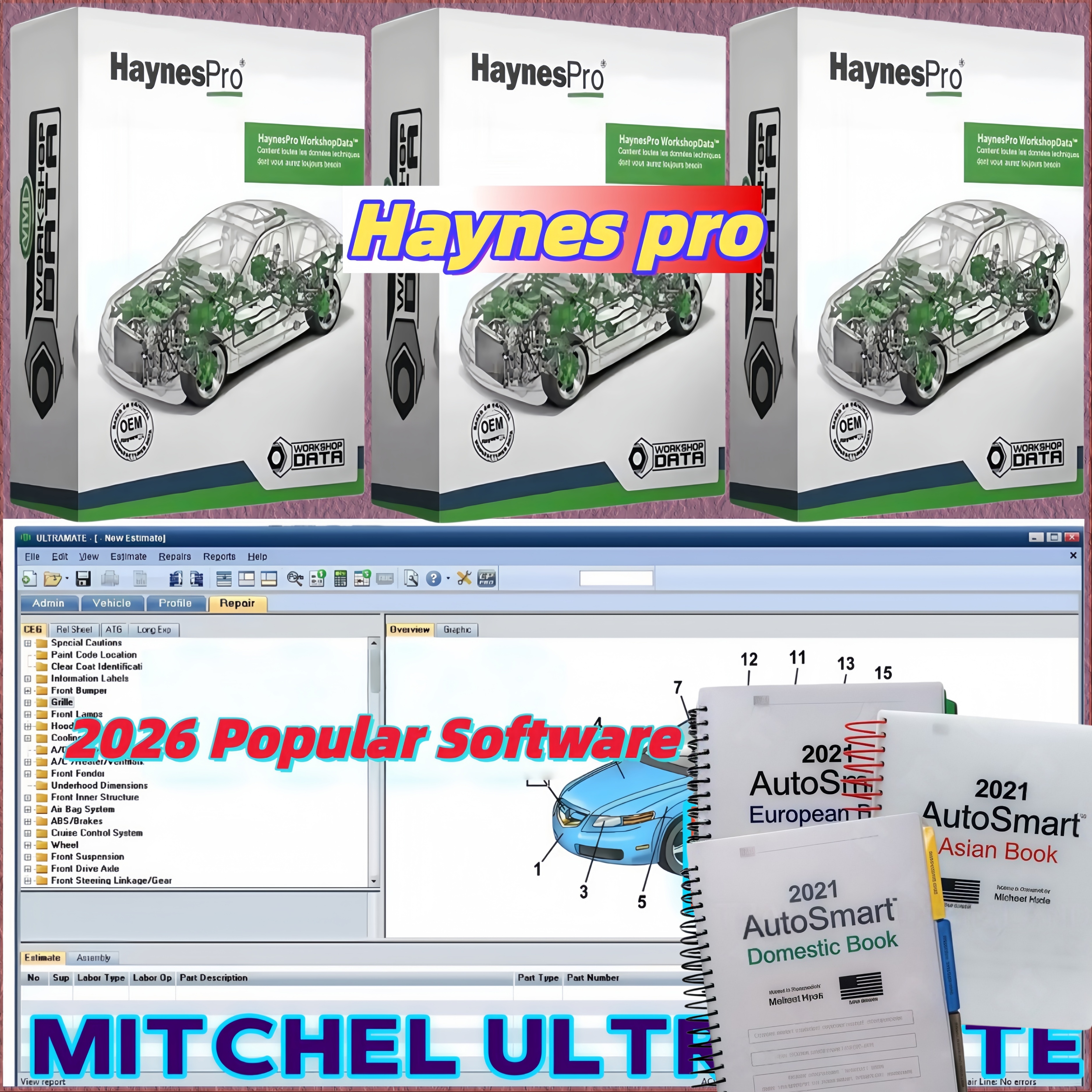 Oferta 2026: Mitchell UltraMate 7, Ultra Patch, Haynes PRO Manual, AutoSmart 3 eBooks + Programa de Claves de Michael Hyde