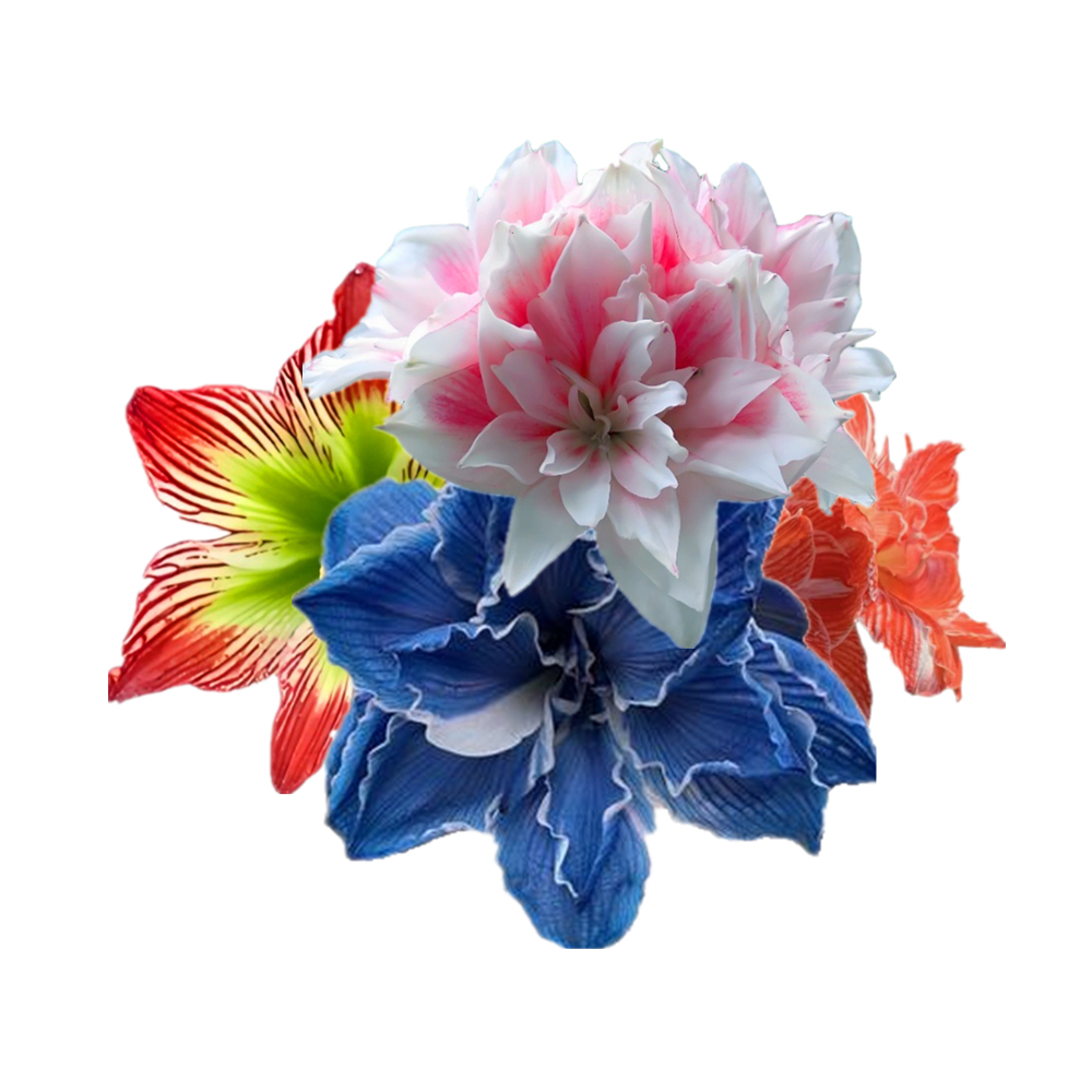 Cherry Nymph Amaryllis лампочки подставка для выращивания красочные гиппеastrum Vittatum посева беспочвенный держатель для растений 2 шт.