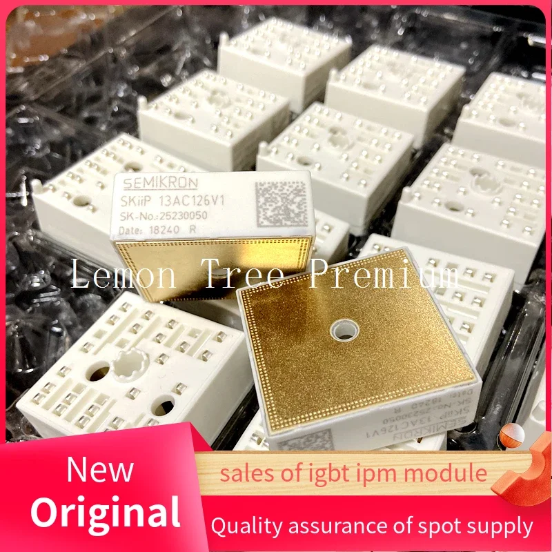 SKIIP11AC126V1 SKIIP13AC126V1 SKIIP12AC126V1 Originele IGBT-module