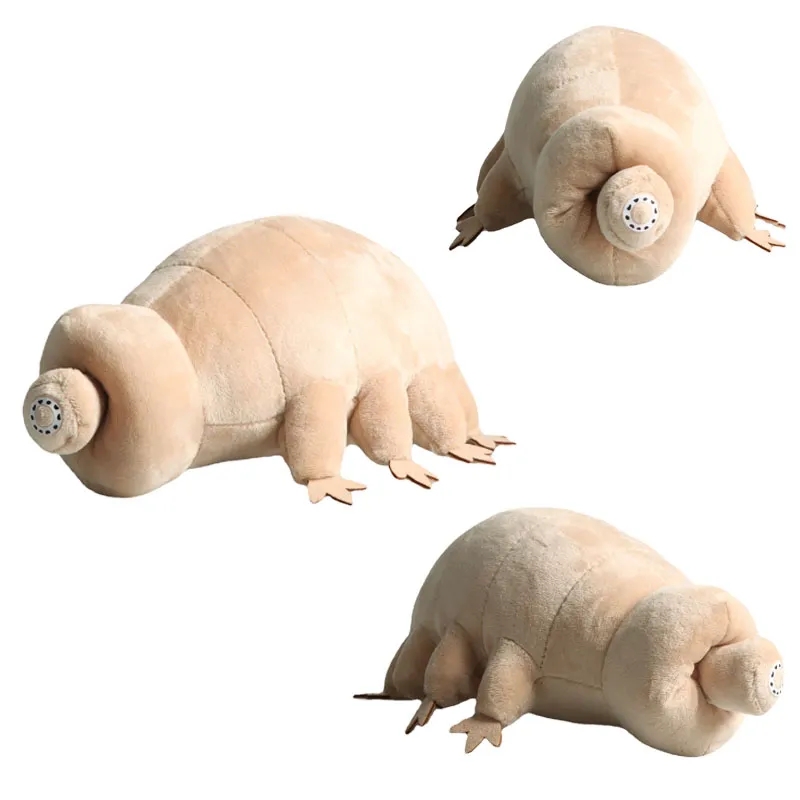 25Cm Water Beer Tardigrade Knuffel Zachte Tardigrade Poppen Knuffels Educatief Speelgoed Voor Kinderen Kids Baby Verjaardagscadeau