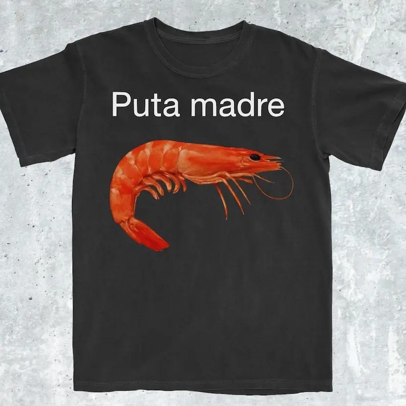 Mèmes amusants sur les crevettes, Mèmes sur les t-shirts à motif crevettes, Mèmes virals agressifs et satiriques sur les crevettes, et Mèmes confus. Été pour femmes.