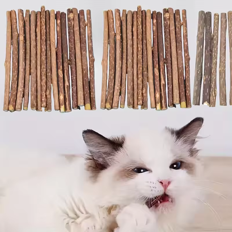 10/15/20 Piezas de Palitos de Polygonum Natural para Gatos, Palitos Molares Finos de Polygonum, Suplemento para Mascotas
