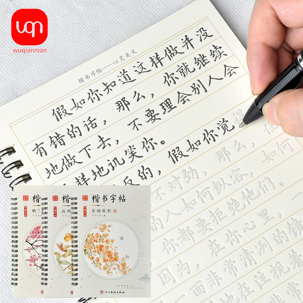 Juego de 6 Cuadernos de Caligrafía con Ranuras Reutilizables con Caracteres Chinos en 3D, Libros de Práctica de Escritura Artística Hanzi para Adultos