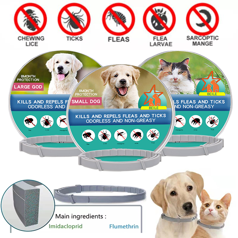สุนัขป้องกันหมัดและเห็บแมวปลอกคอสัตว์เลี้ยง 8 เดือน Retractable PET COLLARs สําหรับลูกสุนัขแมวสุนัขขนาดใหญ่อุปกรณ์เสริม