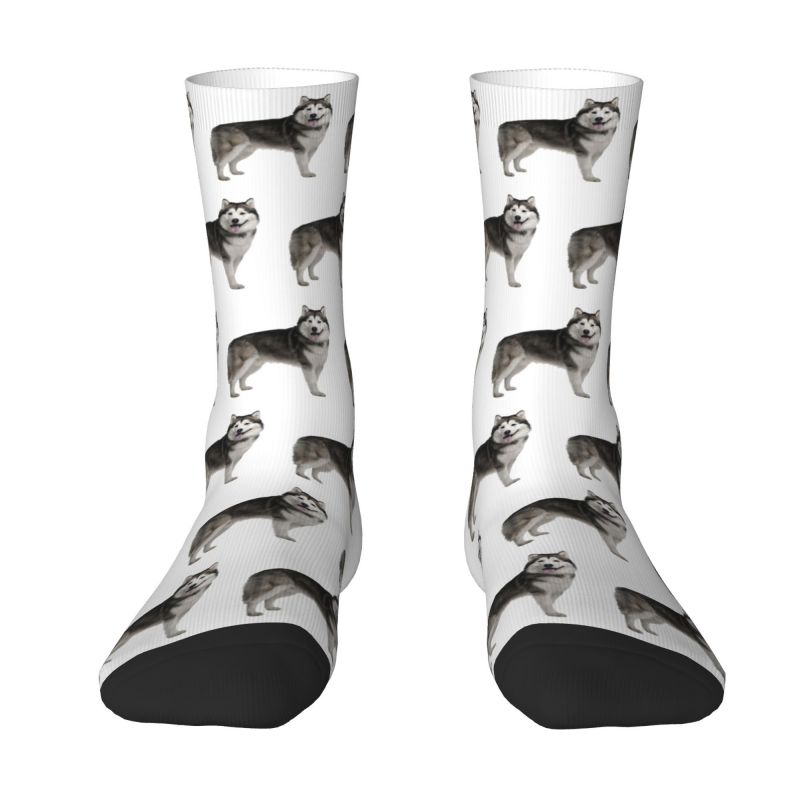 Kaus Kaki Husky Siberia Lucu Kaus Kaki Basket Olahraga Anjing Alaska Gambar Cetak 3D Hangat Pria Wanita