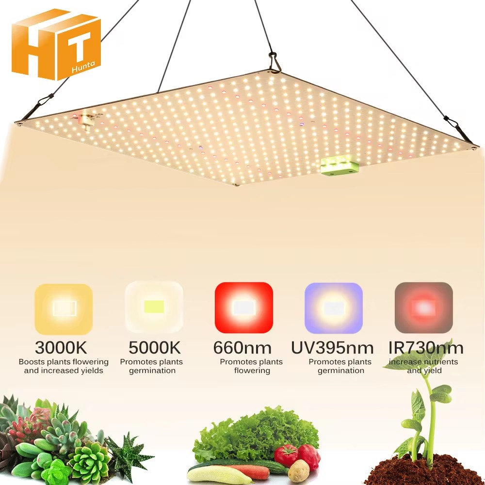 Vollspektrum-LED-Wachstumslicht, hohe PPFD, sonnenähnliche Quanten-Wachstumslampe LM281B für die Wachstumsbeleuchtung im Innenbereich