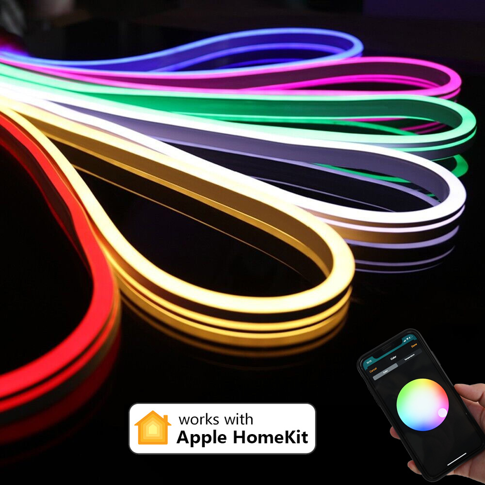 Homekit WiFi RGB néon LED bande lumineuse 1m 2m 3m 5m étanche réglable lampe Flexible Mini contrôleur 12V puissance Siri commande vocale