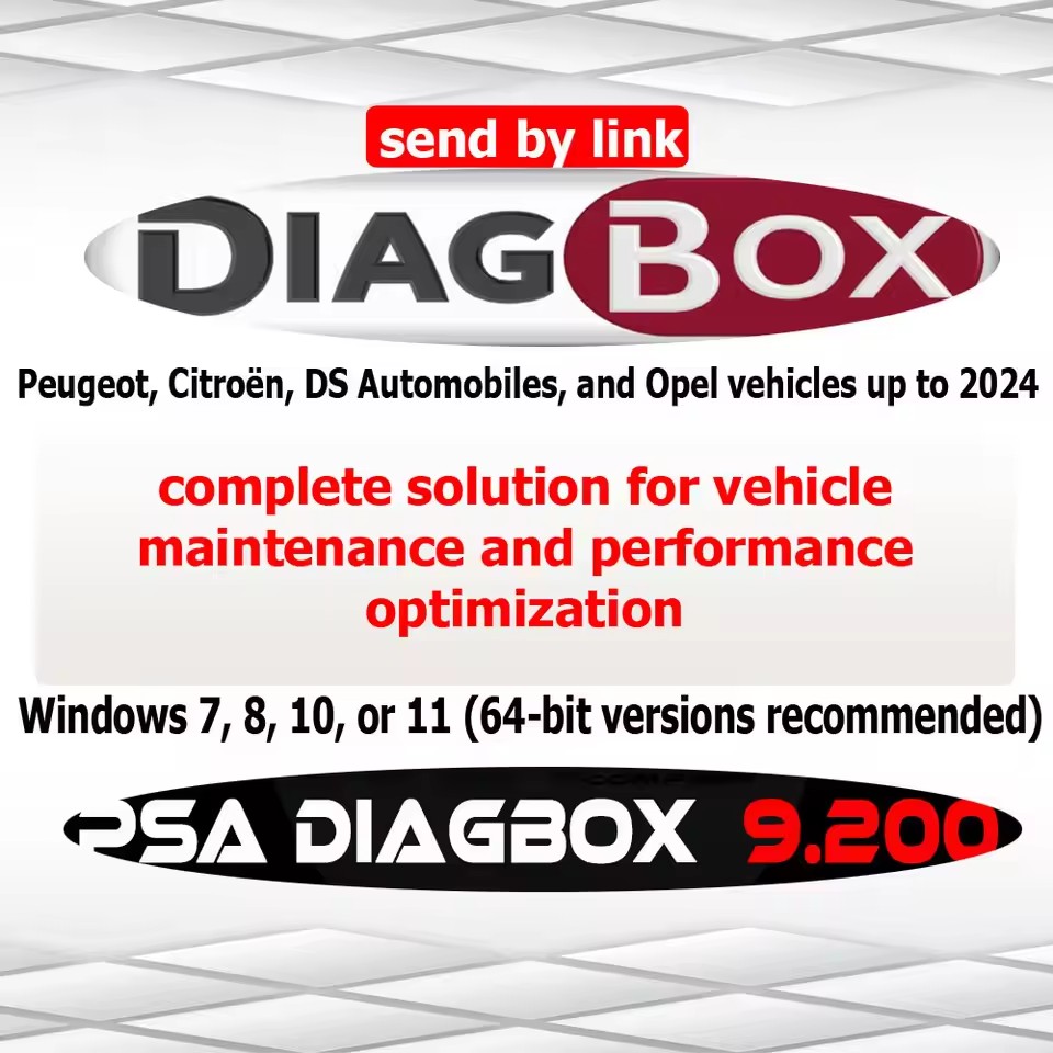 Outil de diagnostic automobile DIAGBOX 9.2 pour les modèles jusqu'à 2024, pas besoin de machine virtuelle, logiciel de réparation automobile