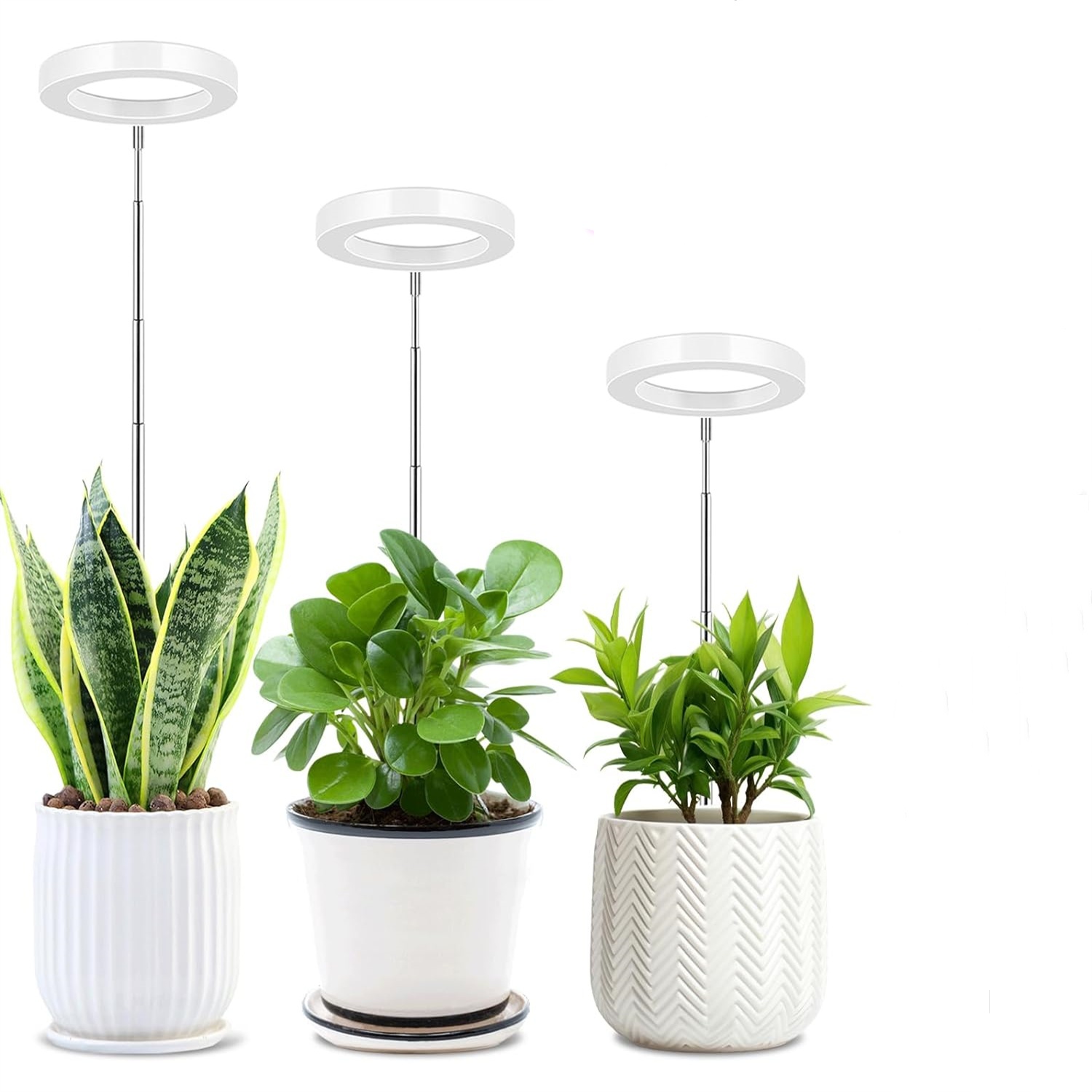 USB ange anneau grandir lumière Phytolamp pour plantes avec contrôle spectre complet Fitolamp lumières maison fleur semis pince Phyto lampe